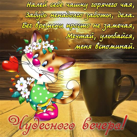 Смешная картинка чудесного вечера с рисунком кота