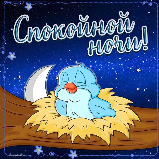 Забавная открытка спокойной ночи с птичкой