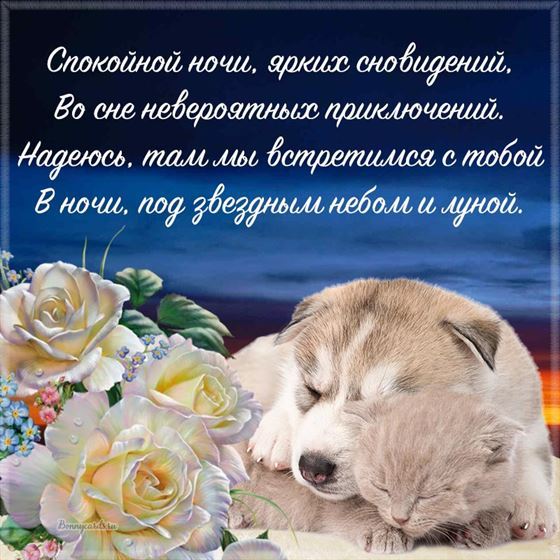 Оригинальная картинка спокойной ночи с щенком