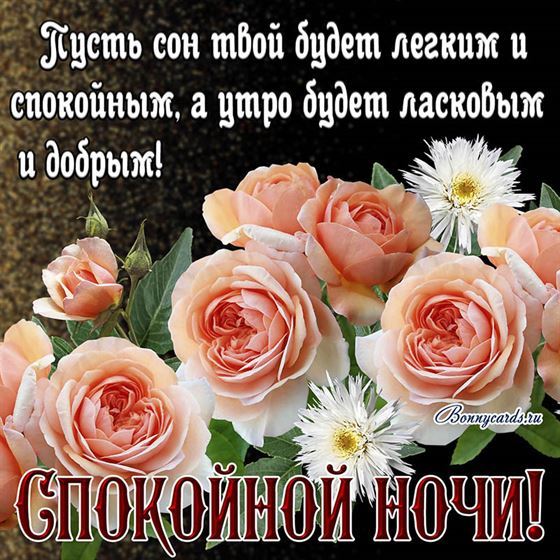 Пусть сон твой будет лёгким