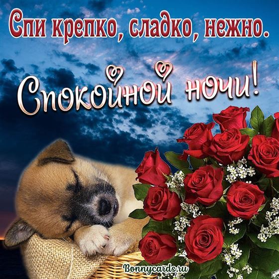 Трогательная открытка спокойной ночи с собачкой