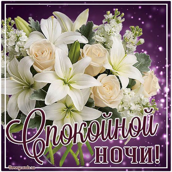Креативная открытка с пышным букетом спокойной ночи