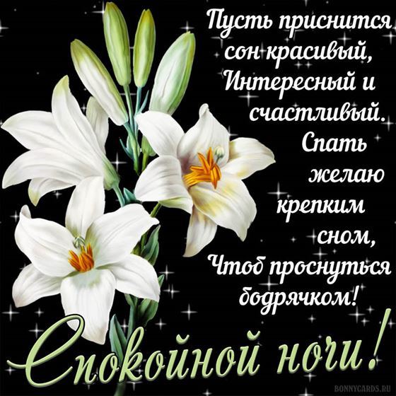 Пусть приснится сон красивый. Спокойной ночи