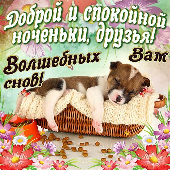 Смешная открытка доброй ночи со спящим щенком