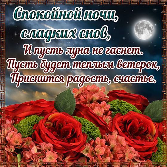 Красивые цветы на фоне ночного неба с луной