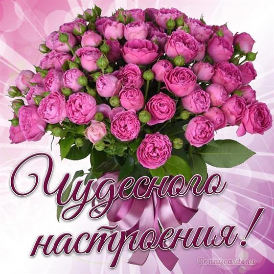 Открытка чудесного настроения с шикарным букетом роз