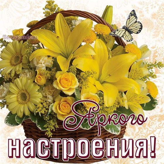 Красивая открытка яркого настроения с желтыми цветами