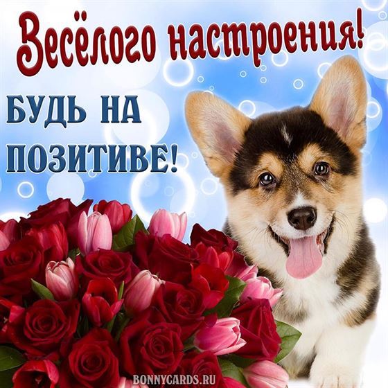 Весёлого настроения. Будь на позитиве