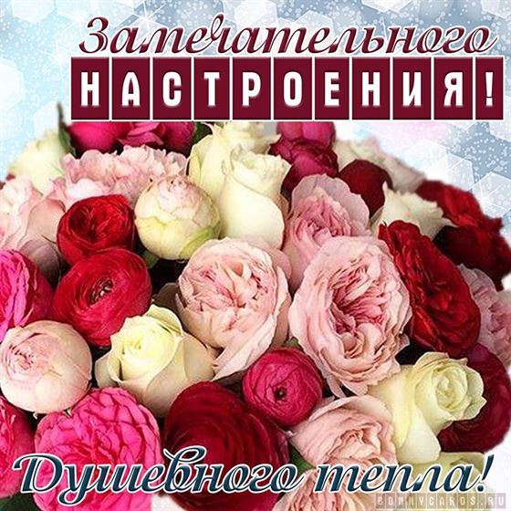 Красивая открытка с кучей цветов замечательного настроения