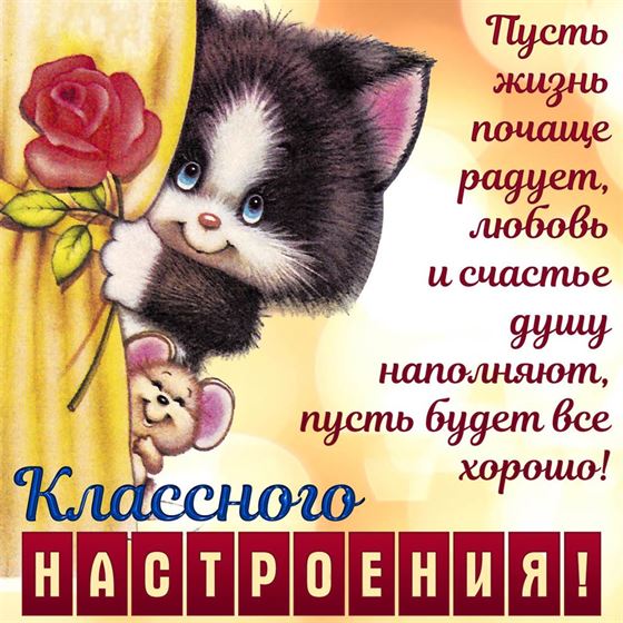 Милая открытка с котиком классного настроения