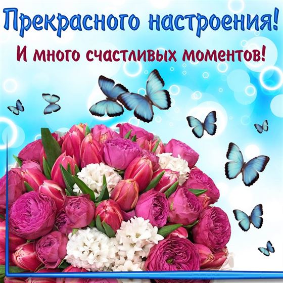 Трогательная открытка прекрасного настроения с пышным букетом