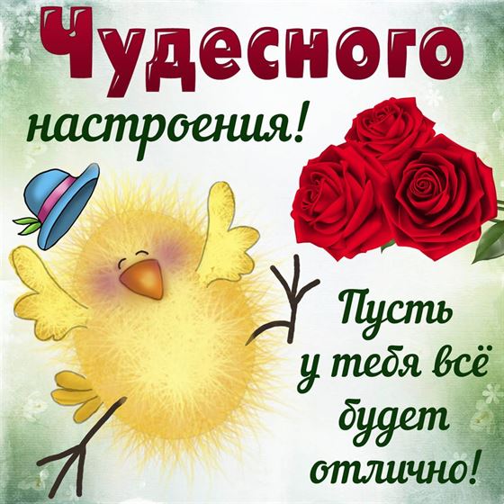 Прикольная открытка с цыплёнком. Чудесного настроения