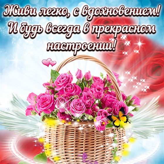 Картинка с корзиной цветос, живи легко