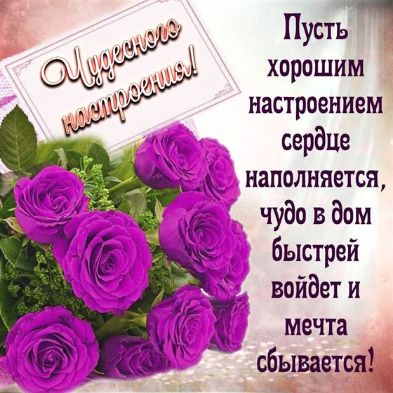 Необычная открытка чудесного настроения с сиреневыми розами
