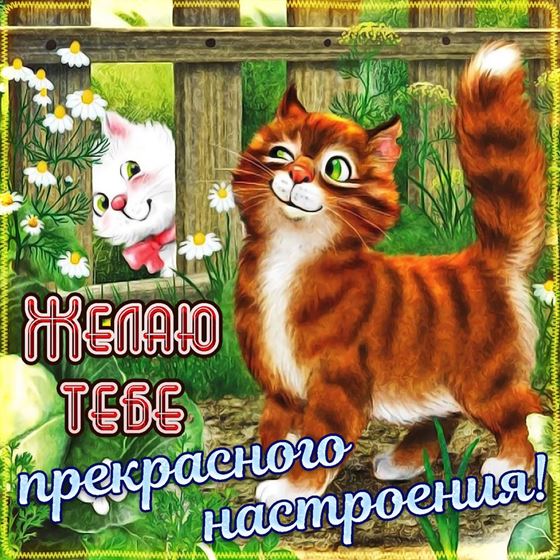 Оригинальная открытка прекрасного настроения с котом