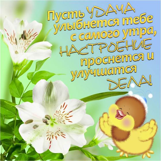 Пусть удача улыбнётся тебе с самого утра