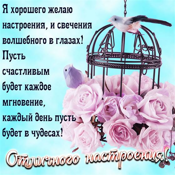 Милая открытка с птичками хорошего настроения