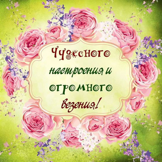 Чудесного настроения в обрамлении роз