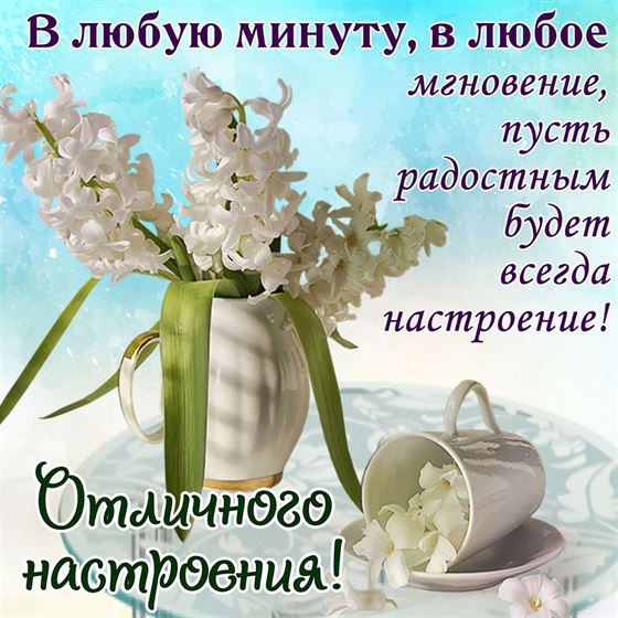 Красивая открытка хорошего настроения с белой сиренью