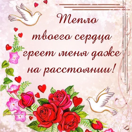 Тепло твоего сердца греет меня