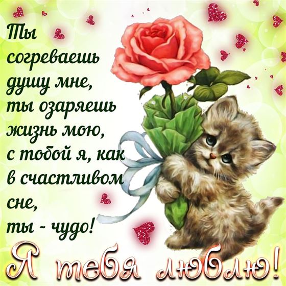 Красивая открытка для любимой с котёнком