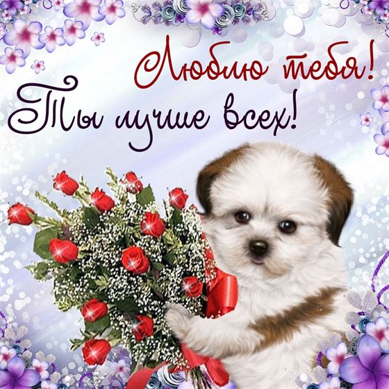 Красивая открытка с щенком, люблю тебя