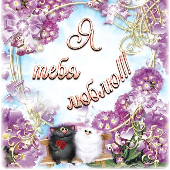 Открытка люблю тебя с котами в цветах