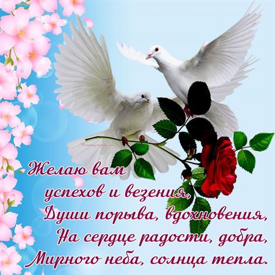 Красивая открытка с голубями с пожеланием