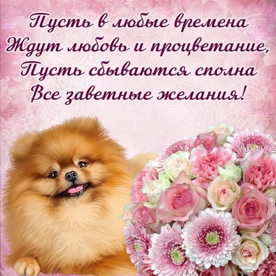 Отличное пожелание в стихах с собачкой