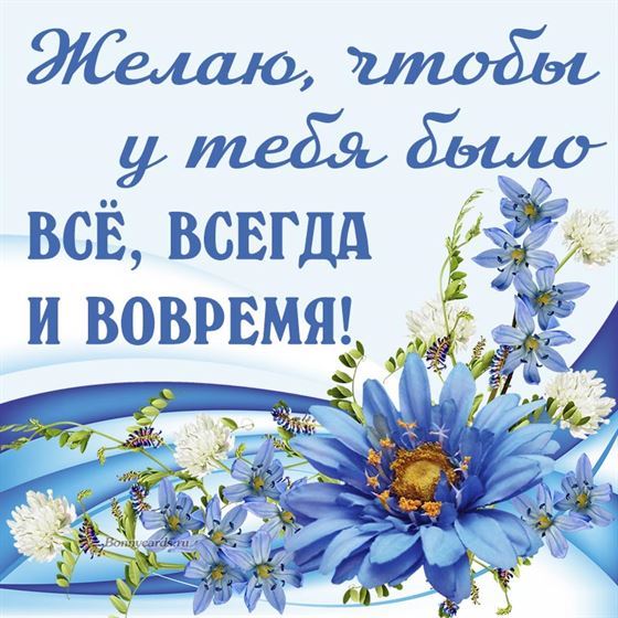 Красивое пожелание на фоне синих цветов