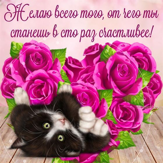 Картинка с милым котом в цветах с пожеланием