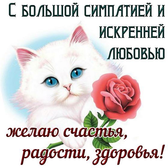 С большой симпатией и искренней любовью