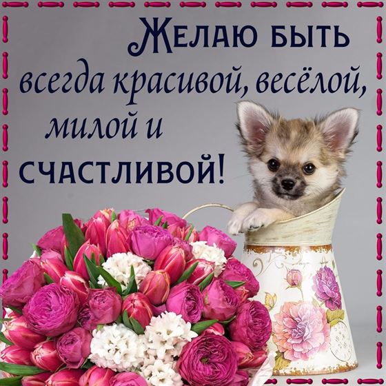 Смешная открытка с щенком в чайнике и пожеланием