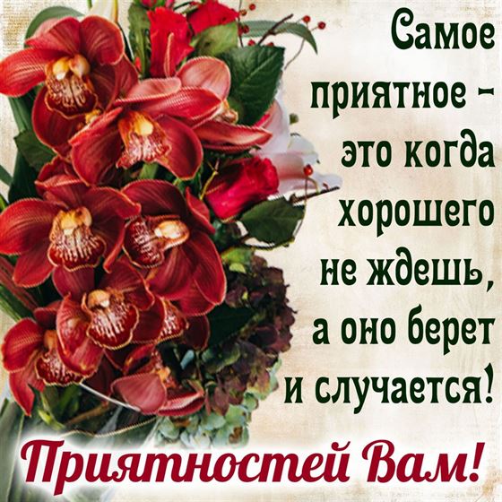 Оригинальная открытка с орхидеями с пожеланием