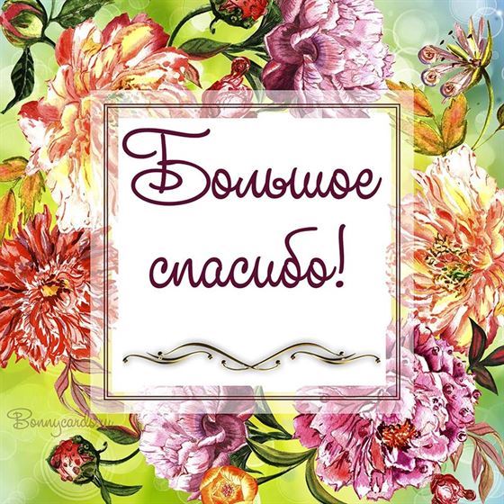 Большое спасибо в рамке из цветов
