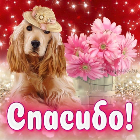 Забавная открытка спасибо с пёсиком