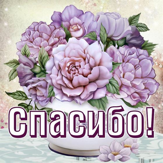 Трогательная открытка с сиреневыми цветами