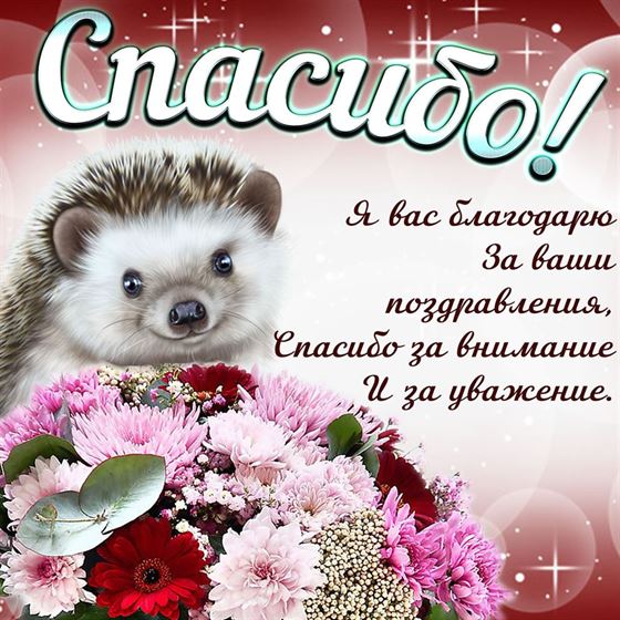 Милый ёжик говорит спасибо