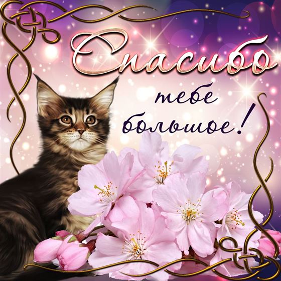 Картинка спасибо на сияющем фоне