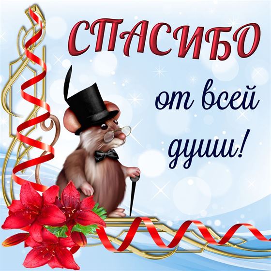 Смешная открытка спасибо с мышкой 