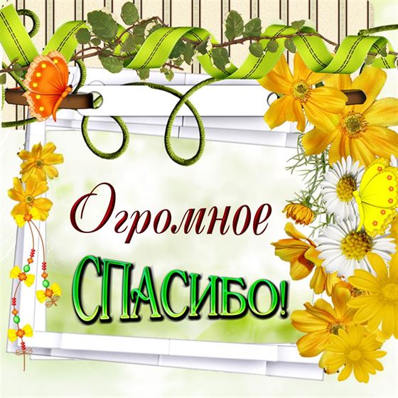 Картинка спасибо с желтыми цветами
