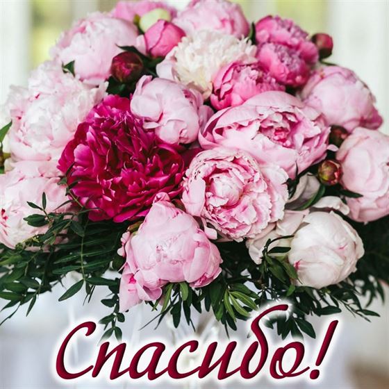 Красивая открытка спасибо с роскошными пионами