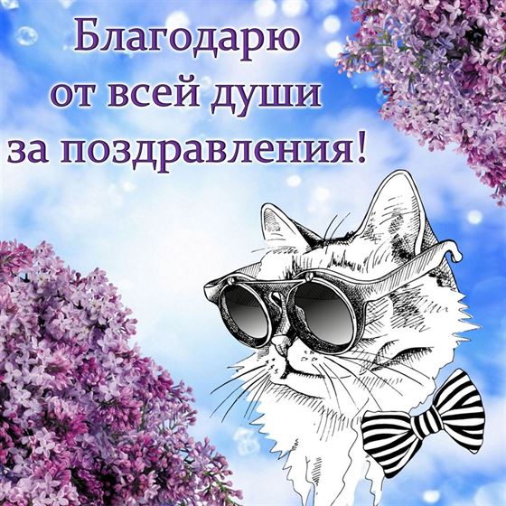 Красивая открытка спасибо с нарисованным котом