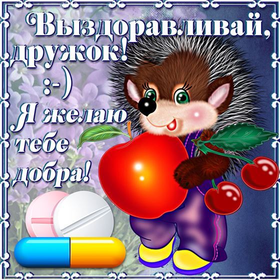 Ёжик желает выздоровления