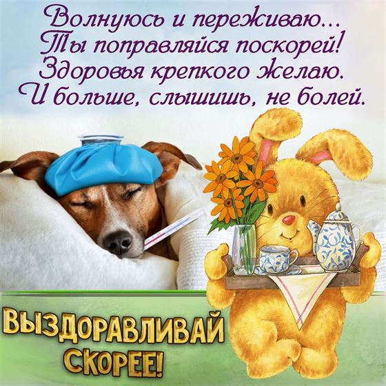 Забавная открытка выздоравливай с собакой