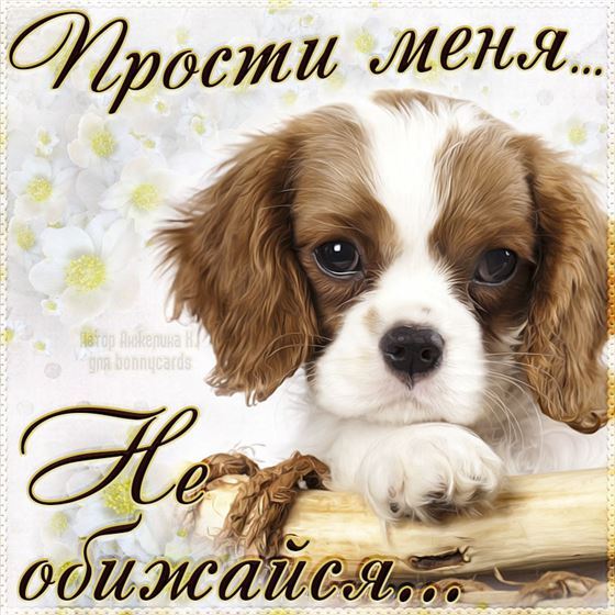 Милая открытка прости с щенком