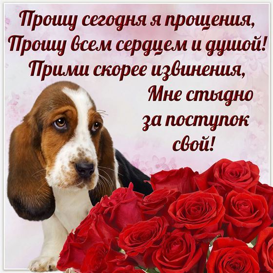 Картинка прости с собакой