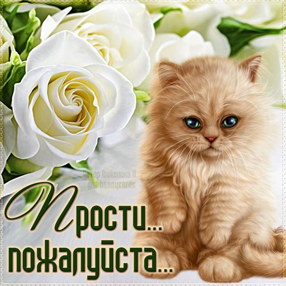 Милая открытка прости с котиком
