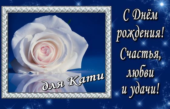 Милая открытка в День рождения Екатерины с розой на синем фоне