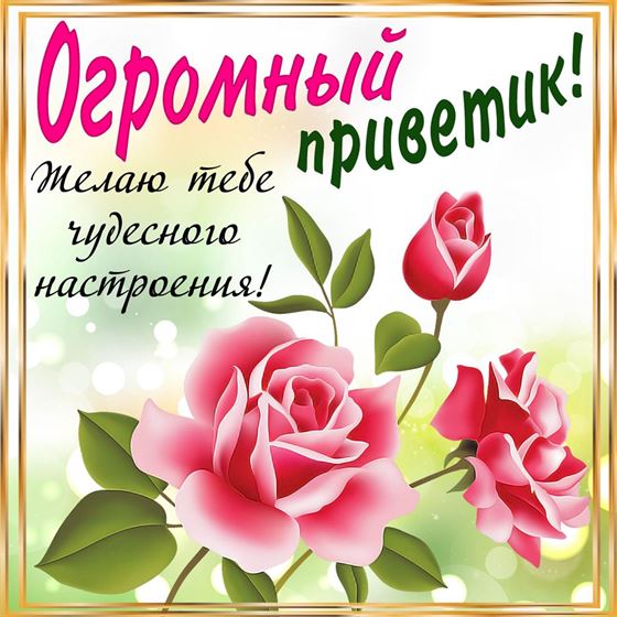 Огромный привет на фоне роз